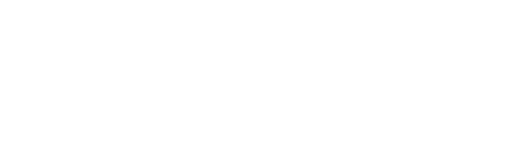 Dimonoff white horizontal logo